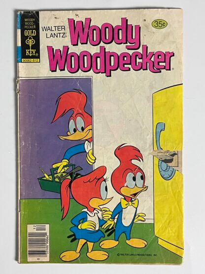 Woody Woodpecker #173 (1978) (Newsstand)