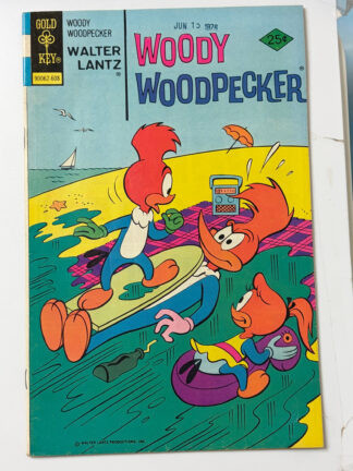 Woody Woodpecker #152 (1976) - Cover