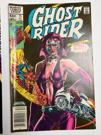 Ghost Rider (1973-1983) #75 (1982) 1st app. Steel Wind - Cover