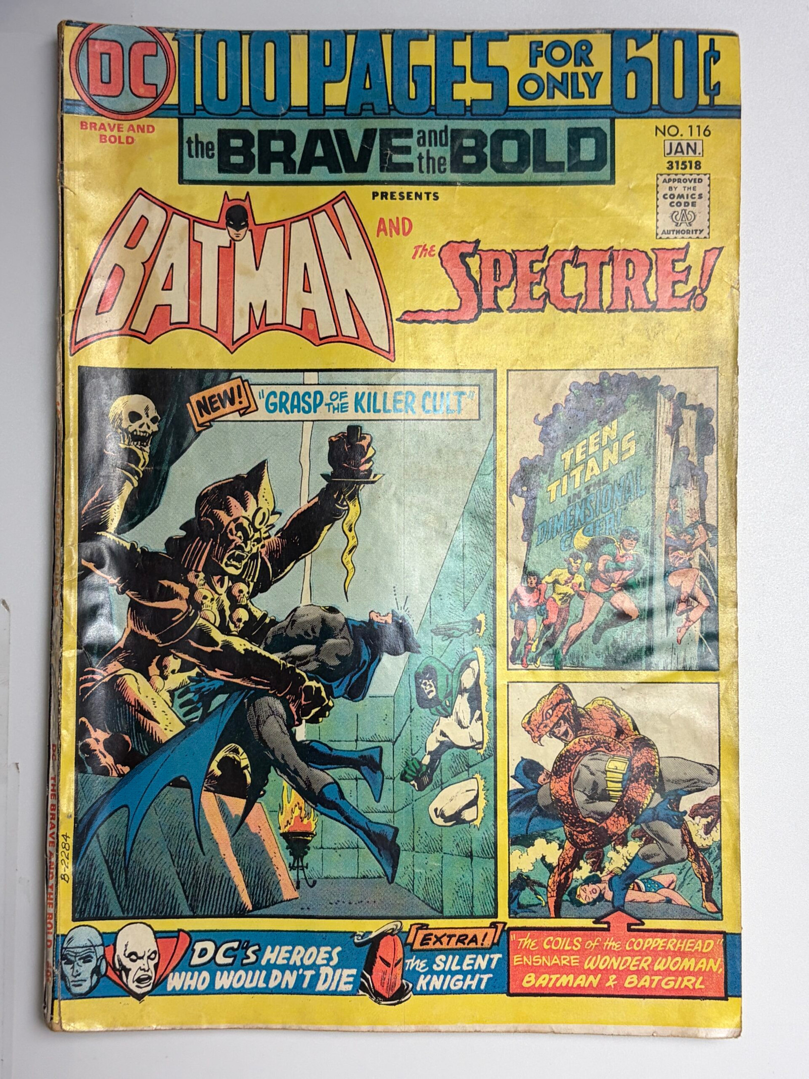 Brave and the Bold #116 (1975) - Cover