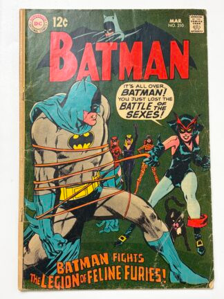 Batman #210 (1969) 1st team app. The Feline Furies