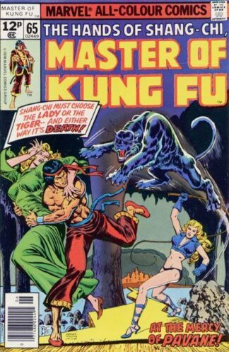 Master of Kung Fu #65 (1978)